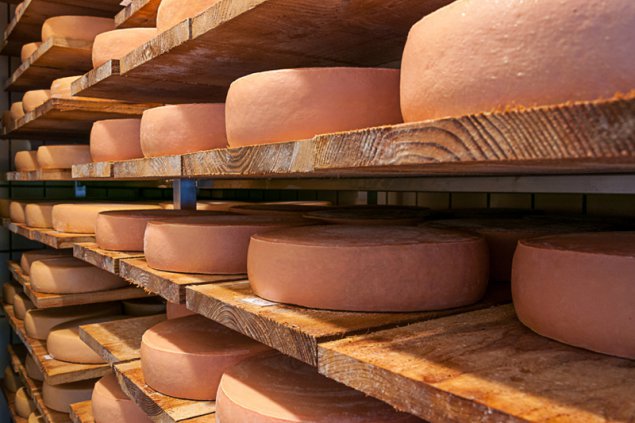 12th European Farmhouse and Artisan Cheese & Dairy Meeting