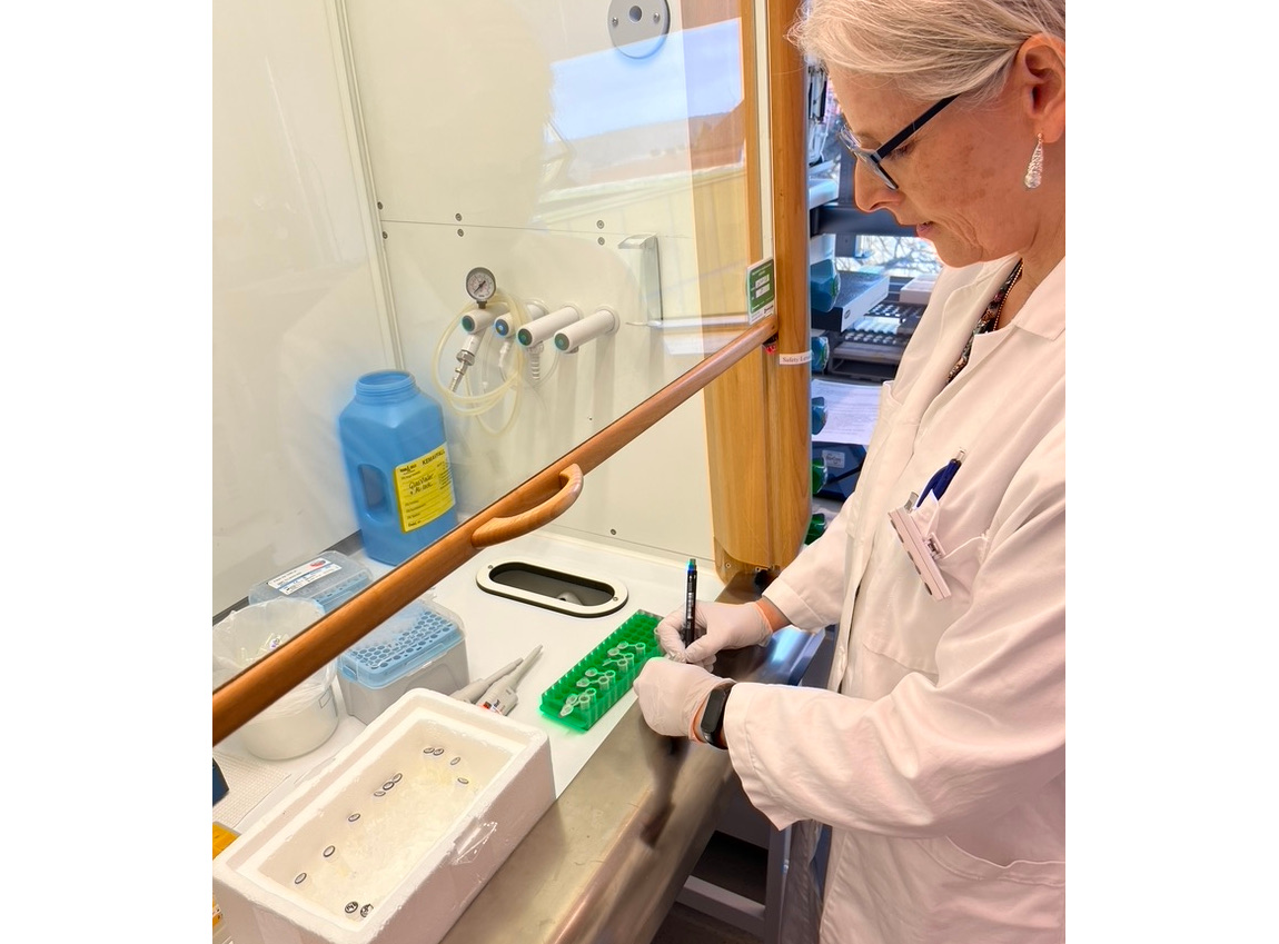 [News from the Members] A Swedish starter cultures project