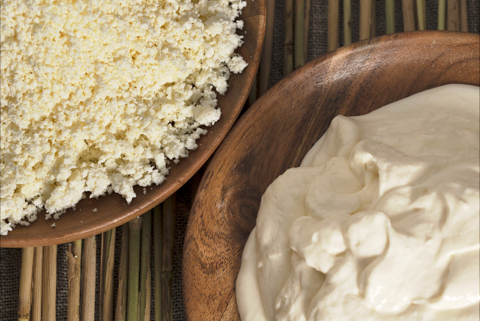 Online Course: Natural Starters and Fermented Milks